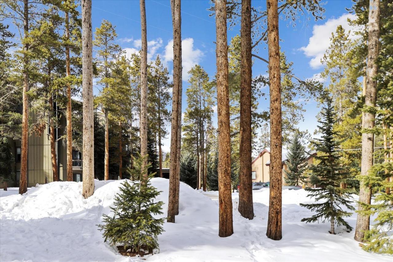 Park Forest Estates Брекенридж Экстерьер фото